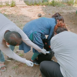 Rabies vaccination-542