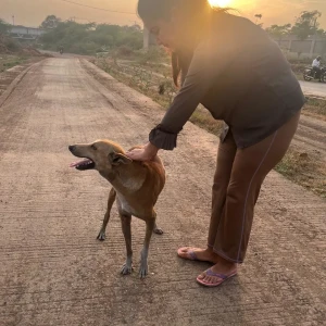 Rabies vaccination-577