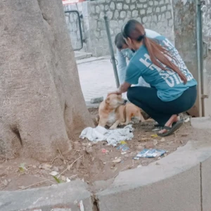 Rabies vaccination-514