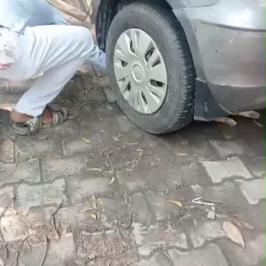 Rabies vaccination-628