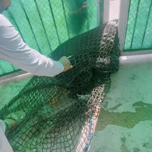 Rabies vaccination-510