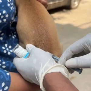 Rabies vaccination-563