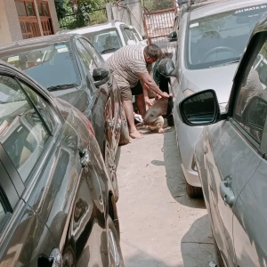 Rabies vaccination-534