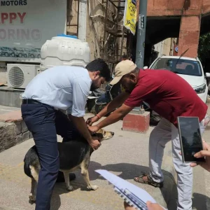 Rabies vaccination-313