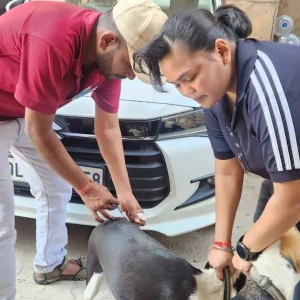 Rabies vaccination-307