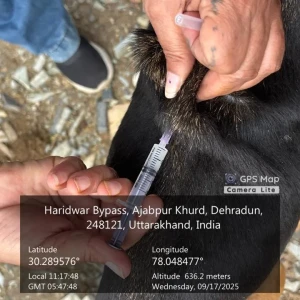 Rabies vaccination-423
