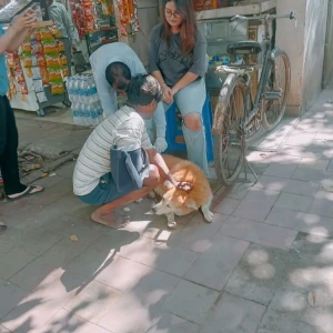 Rabies vaccination-512