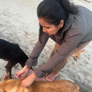 Rabies vaccination-576