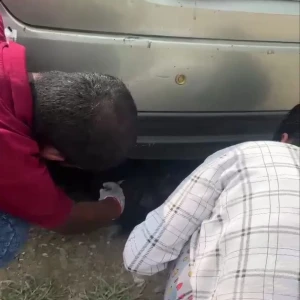 Rabies vaccination-550