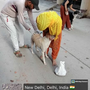 Rabies vaccination-405