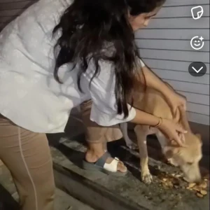 Rabies vaccination-572