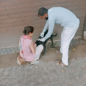 Rabies vaccination-518