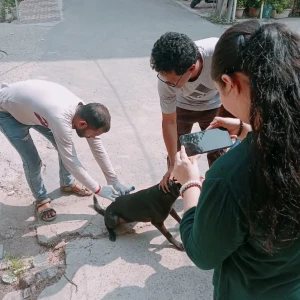 Rabies vaccination-535