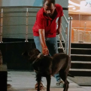 Rabies vaccination-467